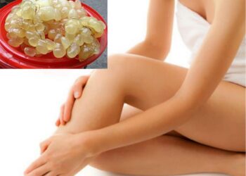 Dược liệu quý cho chị em làm đẹp