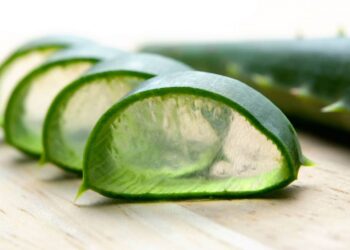 Dùng nha đam trị mụn trứng cá như thế nào?