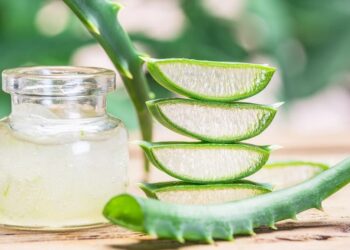 Tác dụng của nha đam đối với sức khỏe